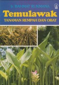 TEMULAWAK Tanaman Rempah dan Obat