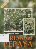 Bertanam Pepaya