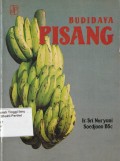 Budidaya Pisang