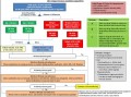 JNC 8 Hypertension Guideline Algorithm