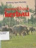 Memelihara Kerbau